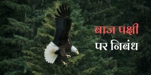 बाज पक्षी पर निबंध Essay on Eagle in Hindi 1000 W