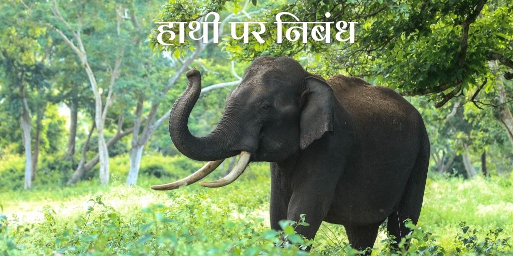 हाथी पर निबंध Essay on Elephant in Hindi