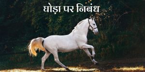 घोड़ा पर निबंध Essay on Horse in Hindi
