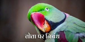 तोता पर निबंध Essay on parrot in Hindi